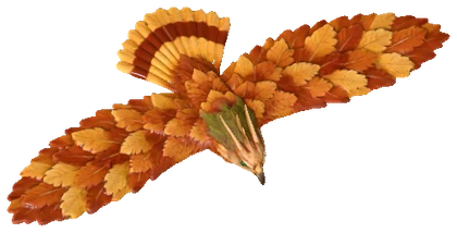Hawk Form — the body the board wears